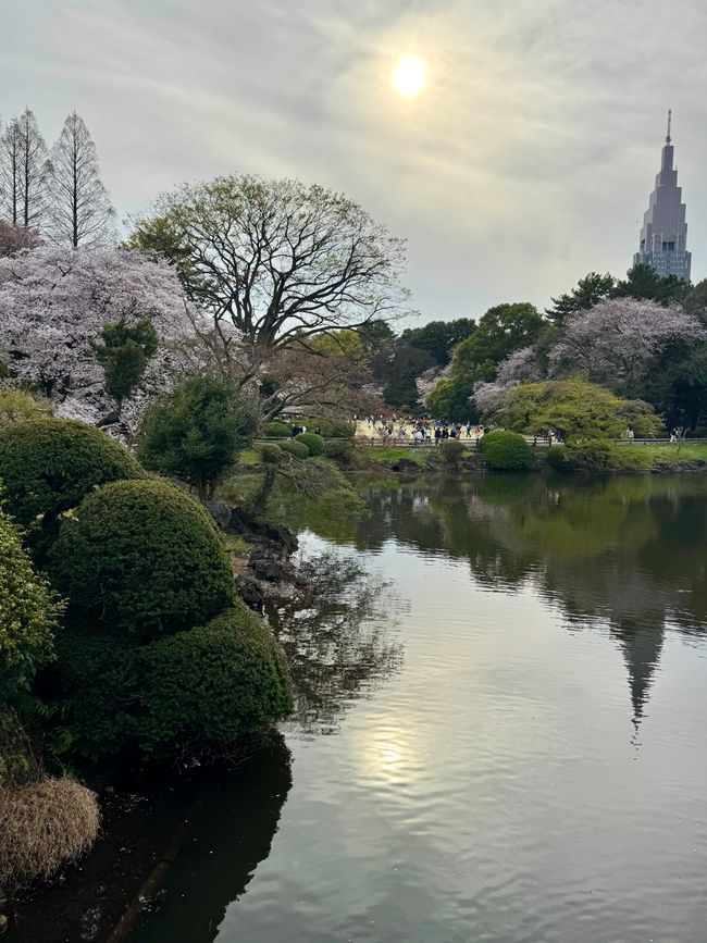 Parte 7
BENVENUTO IN GIAPPONE 🇯🇵
TOKYO