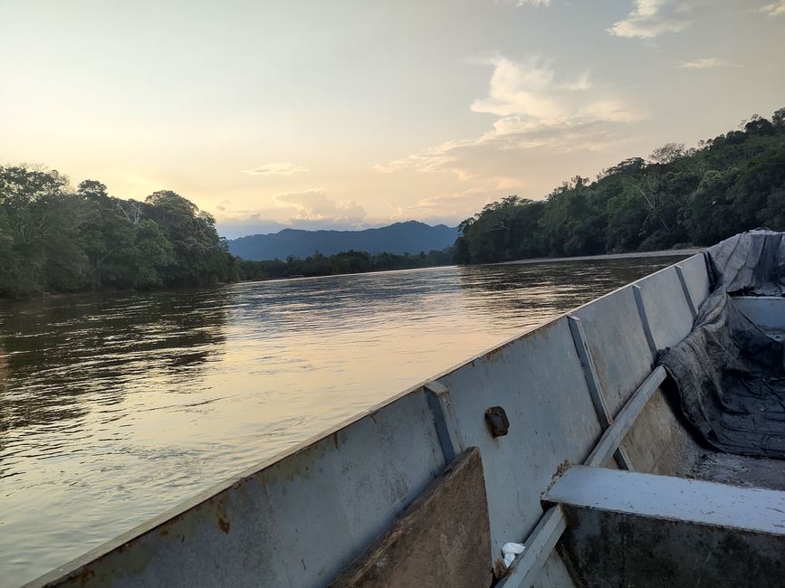 Leuchtende Käfer, grüne Orangen und andere Besonderheiten: Meine letzten Tage in der peruanischen Selva