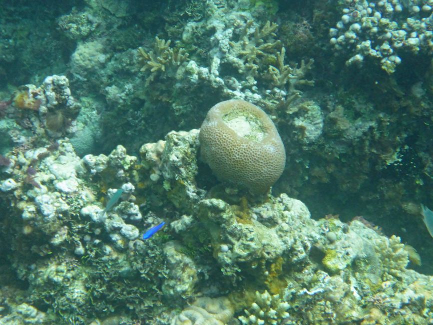 Lomaloma, Insel Vanua Balavu, Fidschi