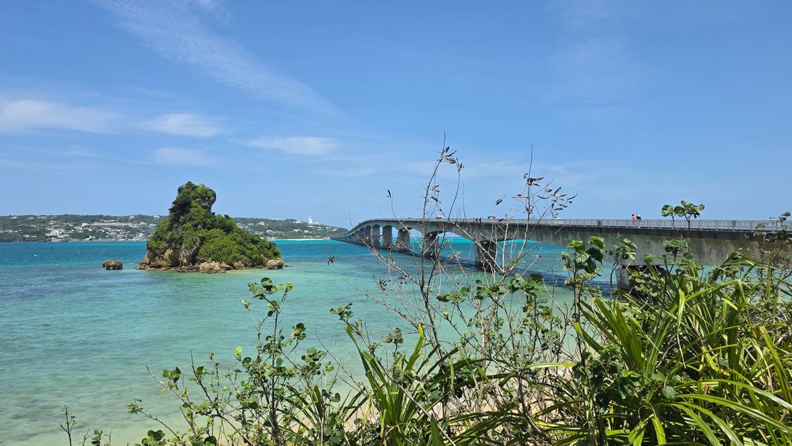 Okinawa Nuchi du takara (Life is the very thing we treasure)