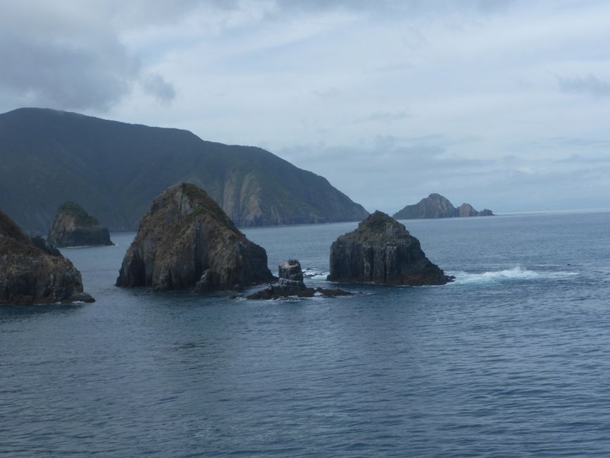 L'angolo nord dell'Isola del Sud 