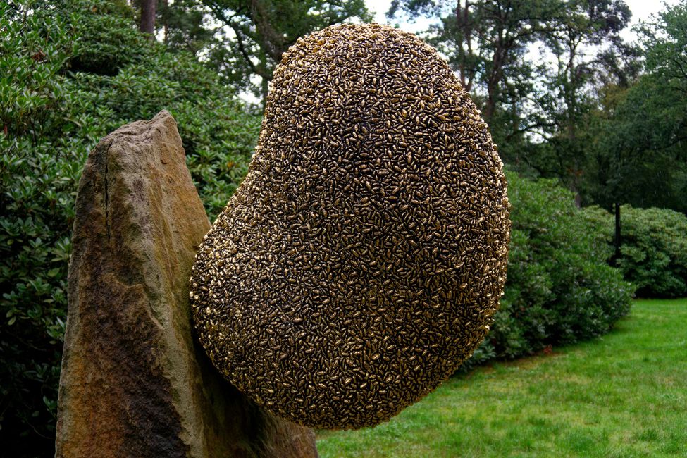 Bill Woodrow: Rockswarm