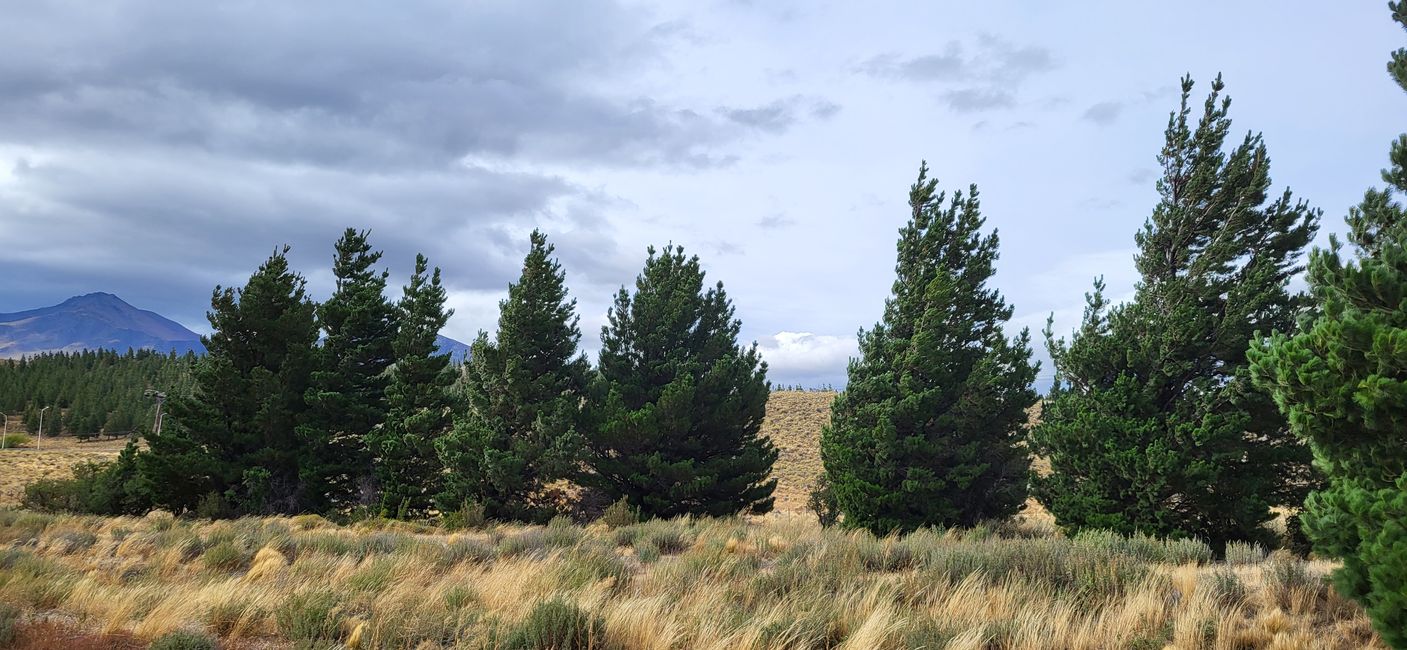 Weiter gen Norden...