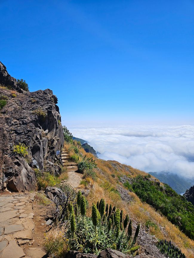 Tag 12: Dem Himmel so nah -  Pico do Areeio