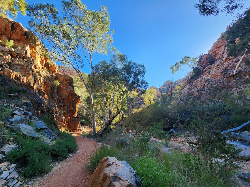 Tag 10, 4. May, Ormiston Gorge im West MacDonnel National Park
