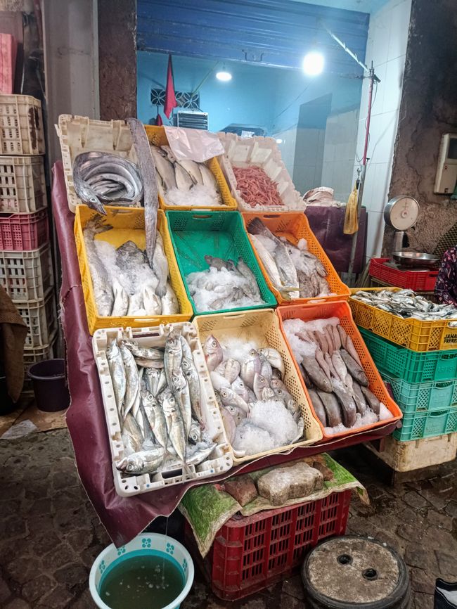 Marrakesch - im Fluss der Stadt