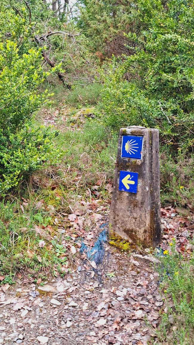 Presque de l'escalade