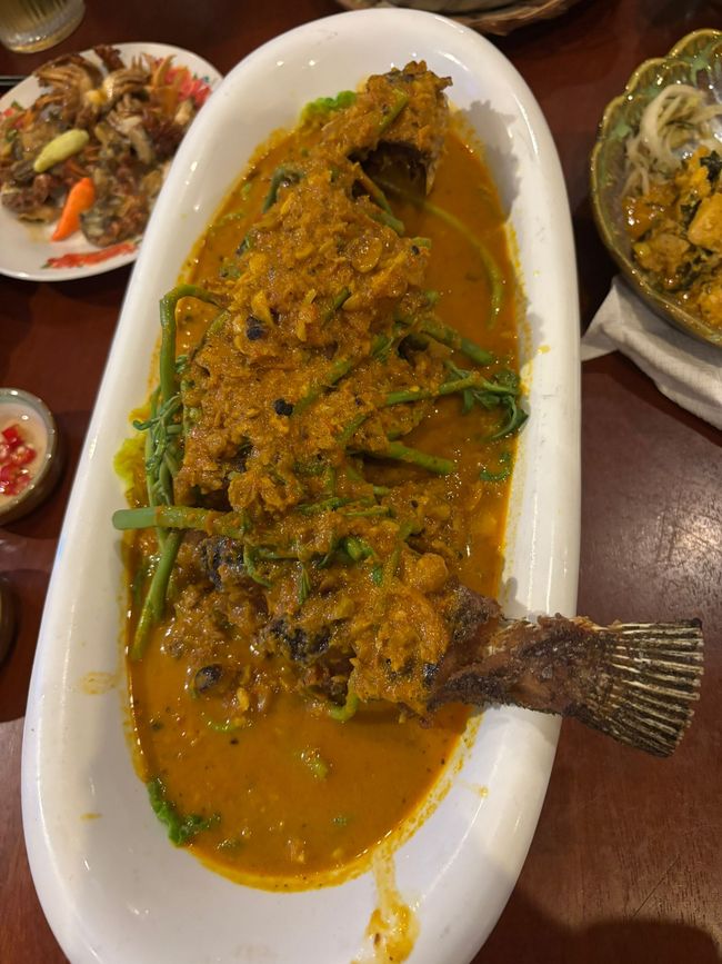 Der Frühe Vogel ist schnell müde