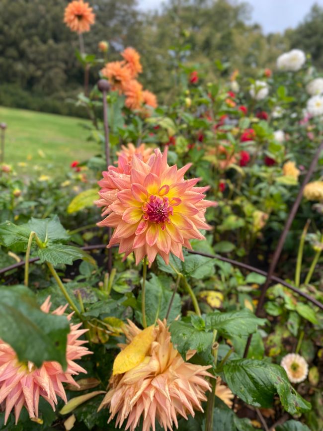 Lets do some Sightseeing