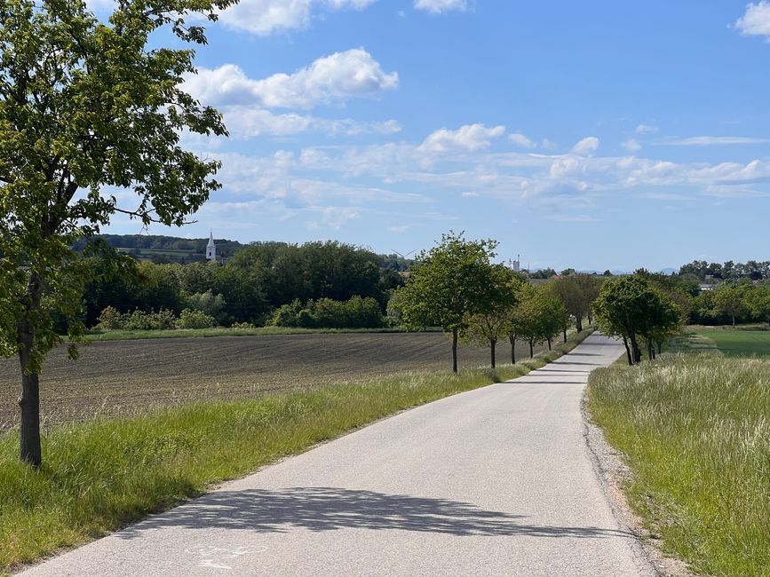 12 a Wiener Neustadt