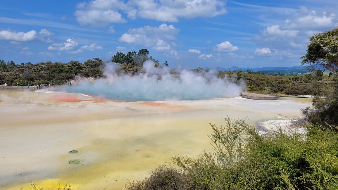 In Wai-O-Tapu National Park and at Lady Knox