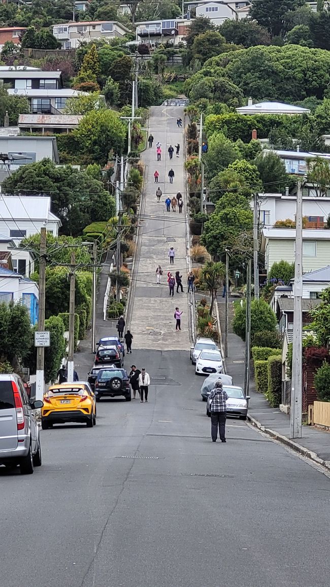 29.Januar -27.Februar 2025 Neuseeland
7.Februar