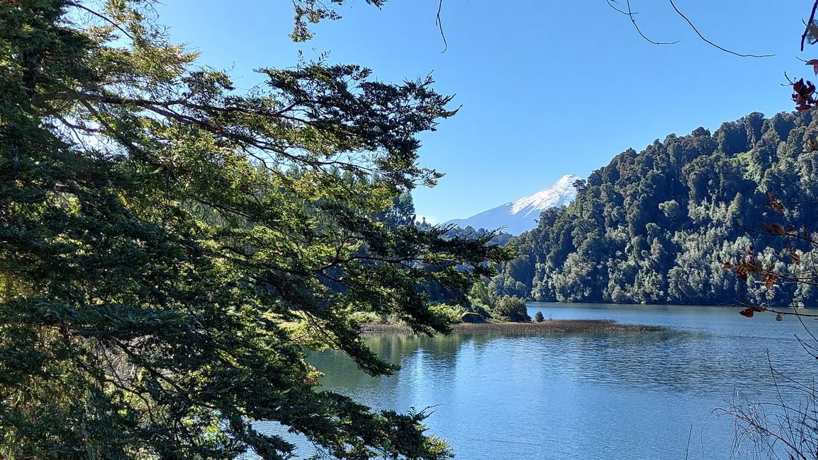 Blick auf den Osorno