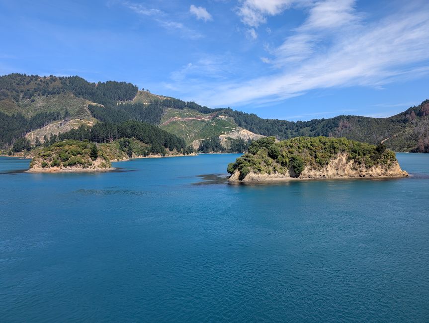 Fähre Picton - Wellington