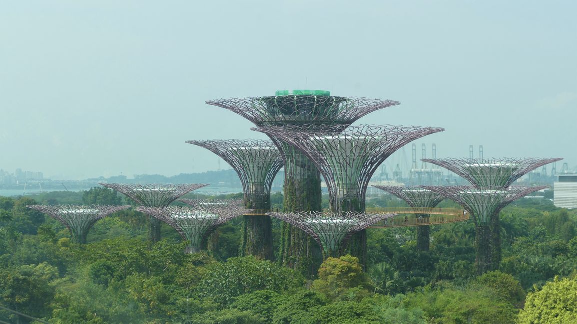 - Singapur & Tasmania 2019 -
