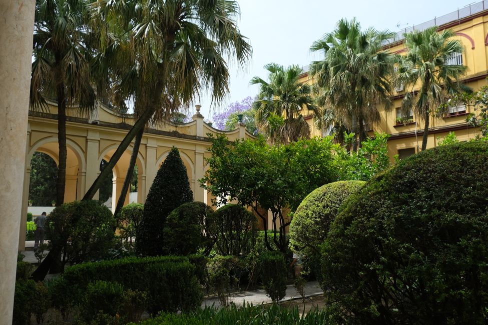 Jardin de l'Alcázar