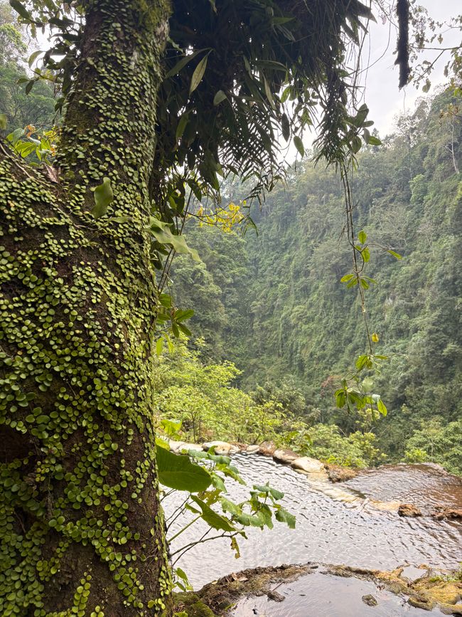 Tumpak Sewu Wasserfälle