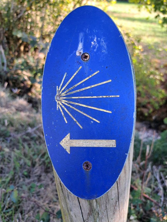 Cammino di Santiago 