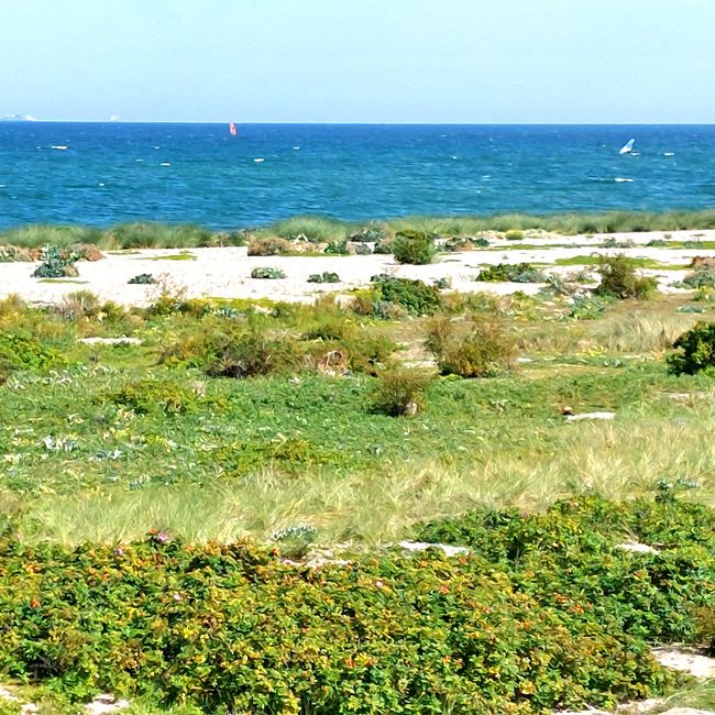 Fehmarn