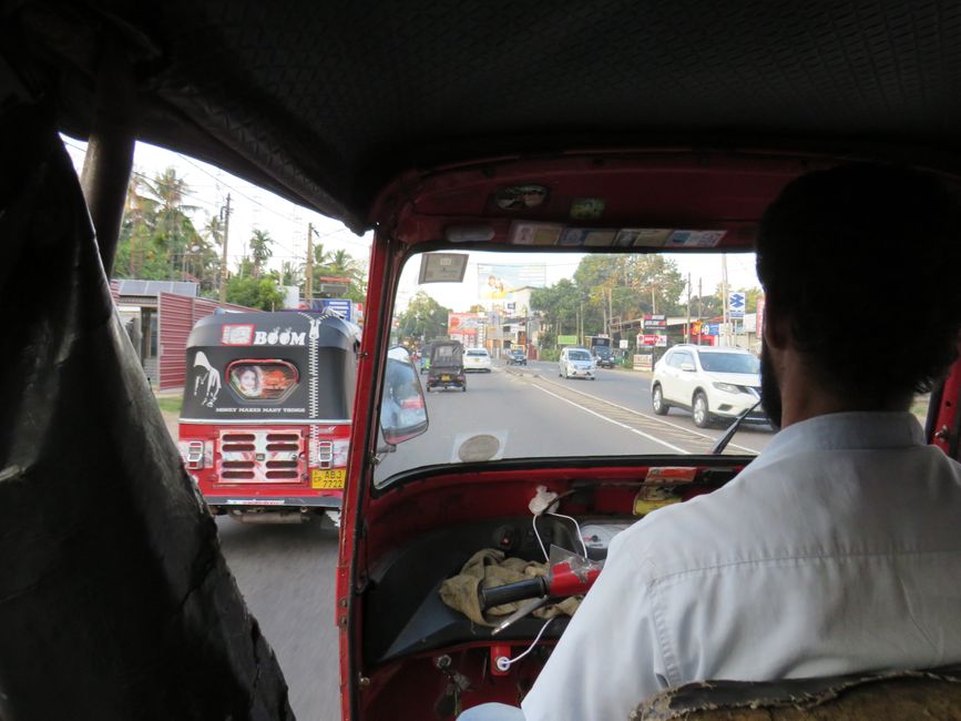 Sri Lanka Avventura in TukTuk!