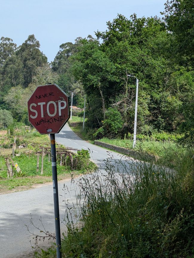 Biotopo dei pellegrini in Portogallo (Camino Portugues 4)
