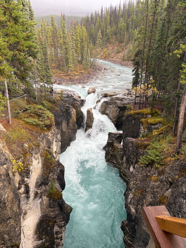 Tag 12 - 🏔️ Wasserfälle, Wetterkapriolen & Wellness – ein (fast) perfekter Tag in Jasper