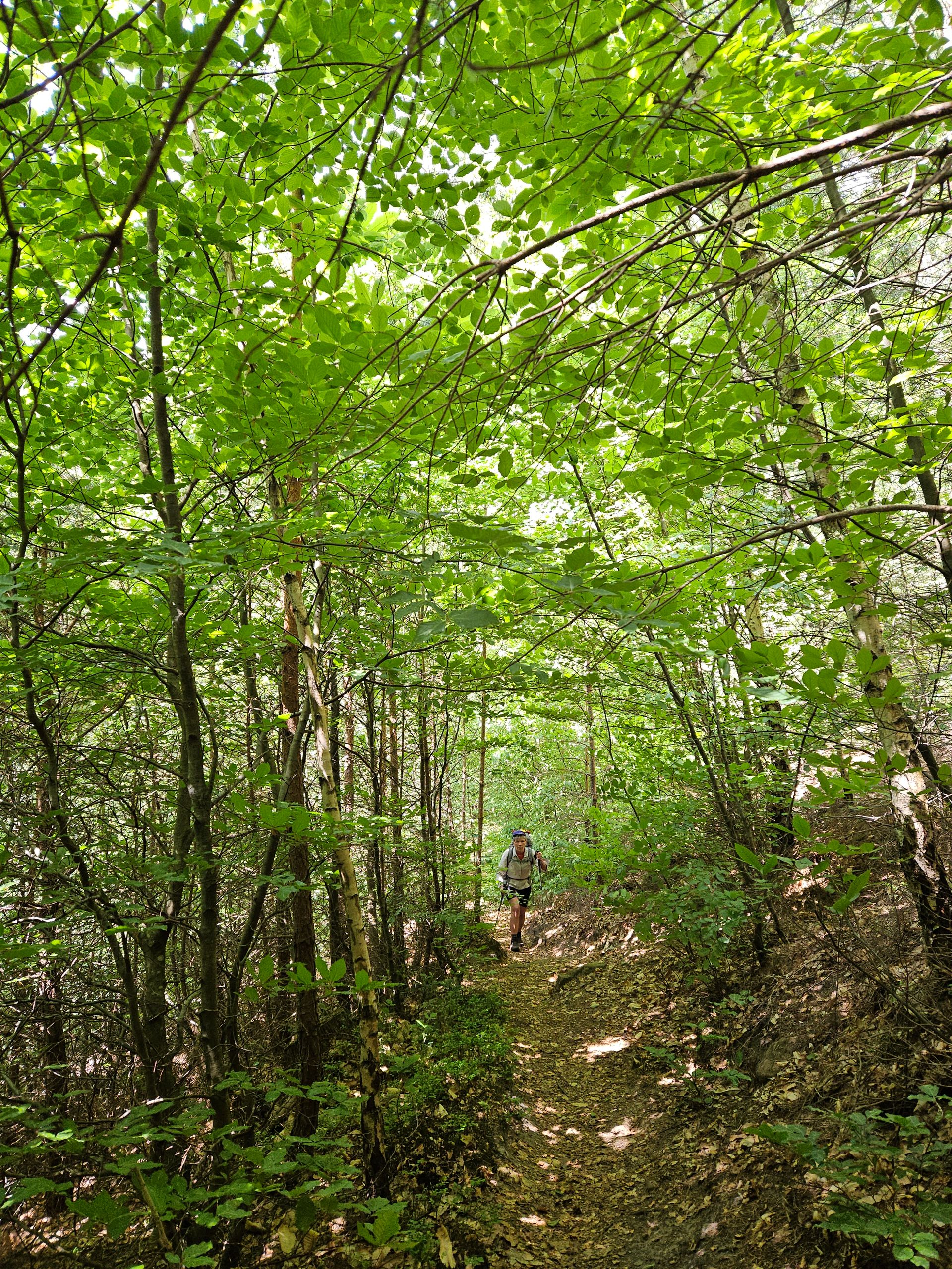 Ascent to the pass at Kehrenkopf