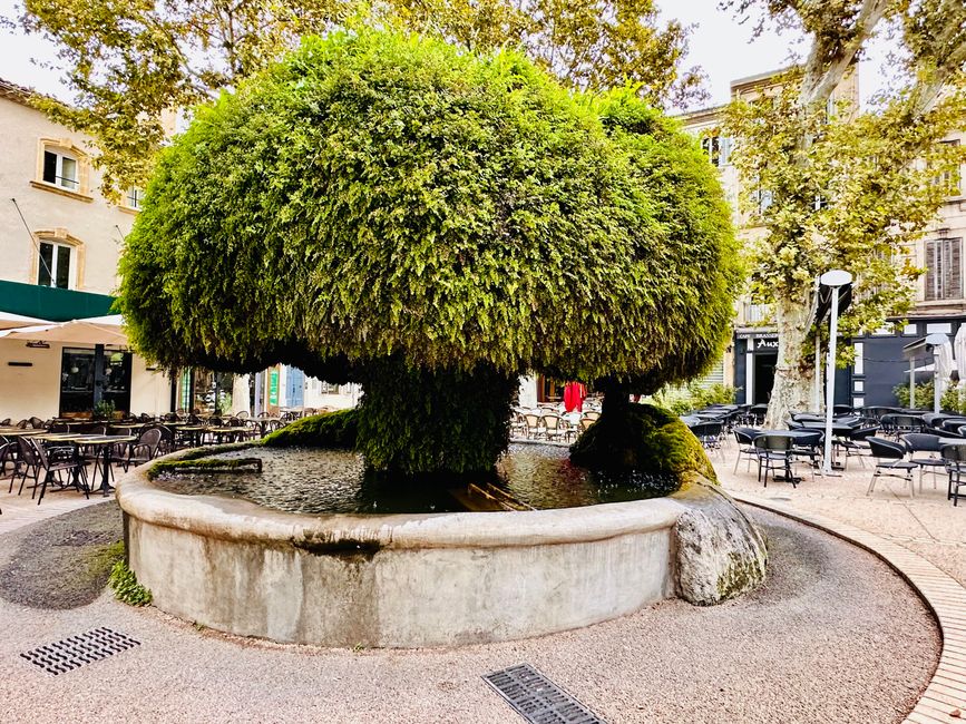 Saint-Rémy-de-Provence, les Alpilles und Salon-de-Provence