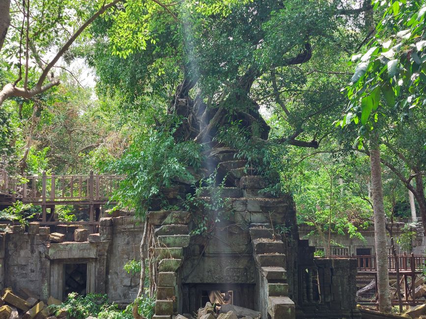 Temple de Beng Mealea