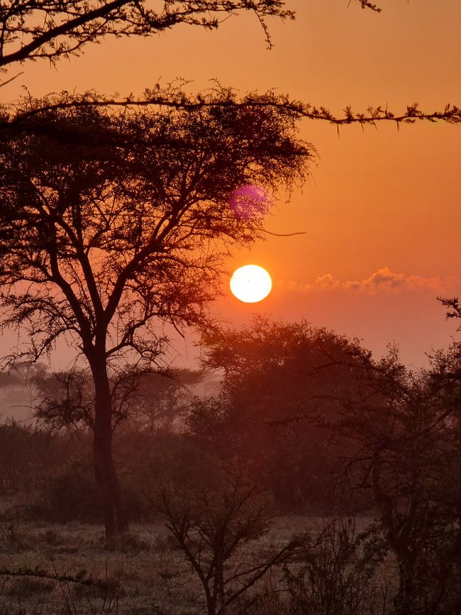Tansania - Tag 7: Rückreise nach Arusha