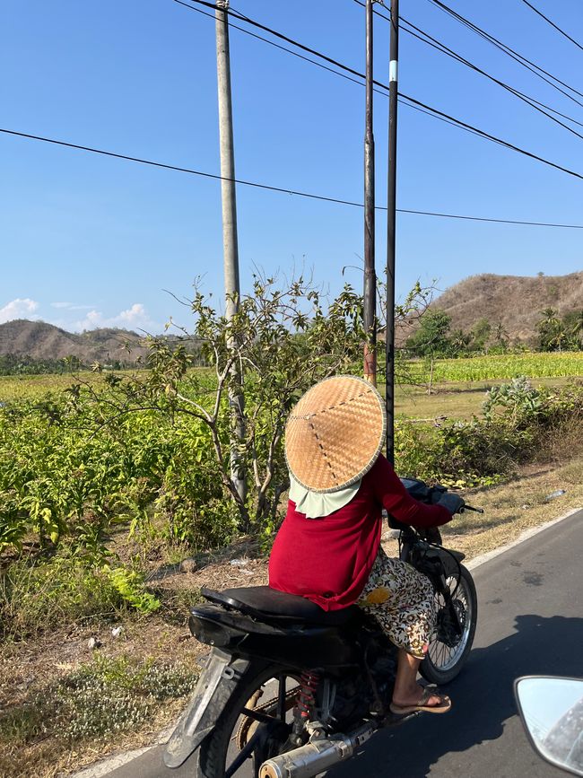 Lombok