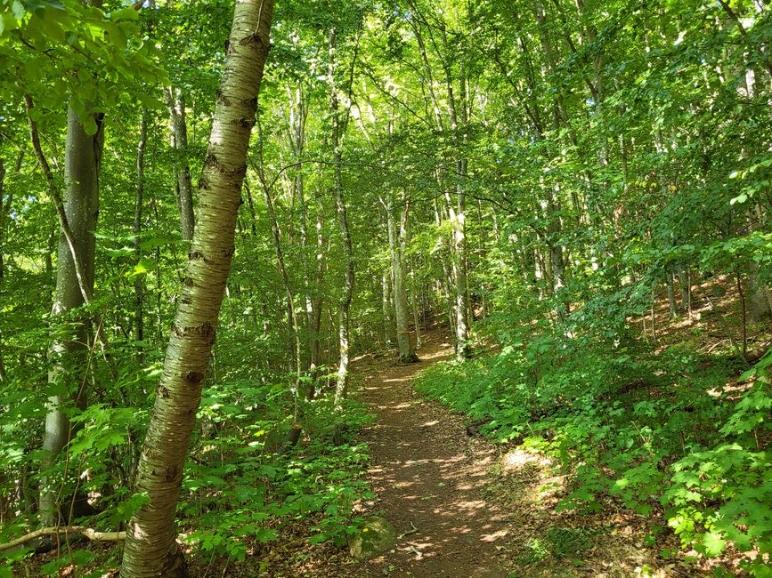 Wanderung Omberg