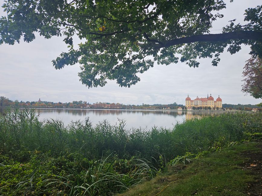 Moritzburg ● drei Haselnüsse für Aschenbrödel 