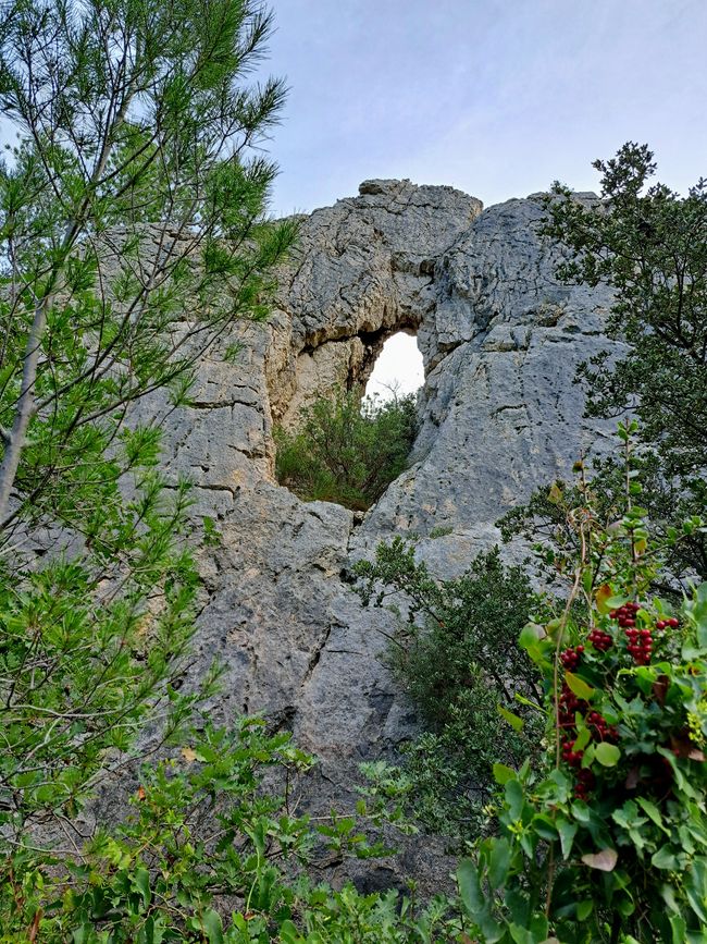 The Flavors of the Alpilles