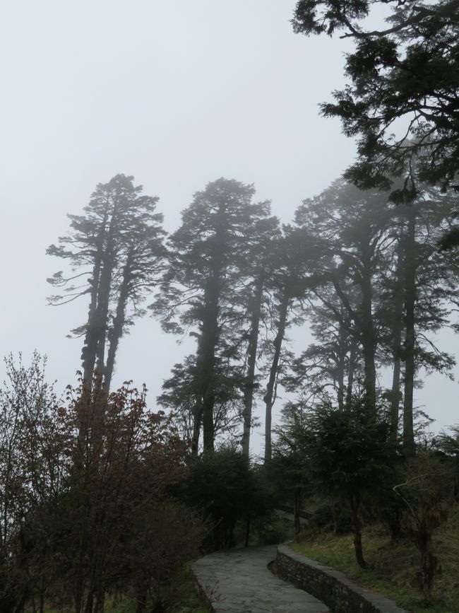 Fog obscures the view of the Himalayas
