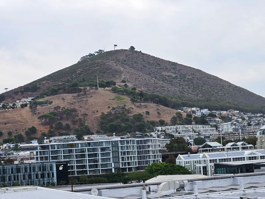 114. Tag Cape Town, South Africa 18.03.2026