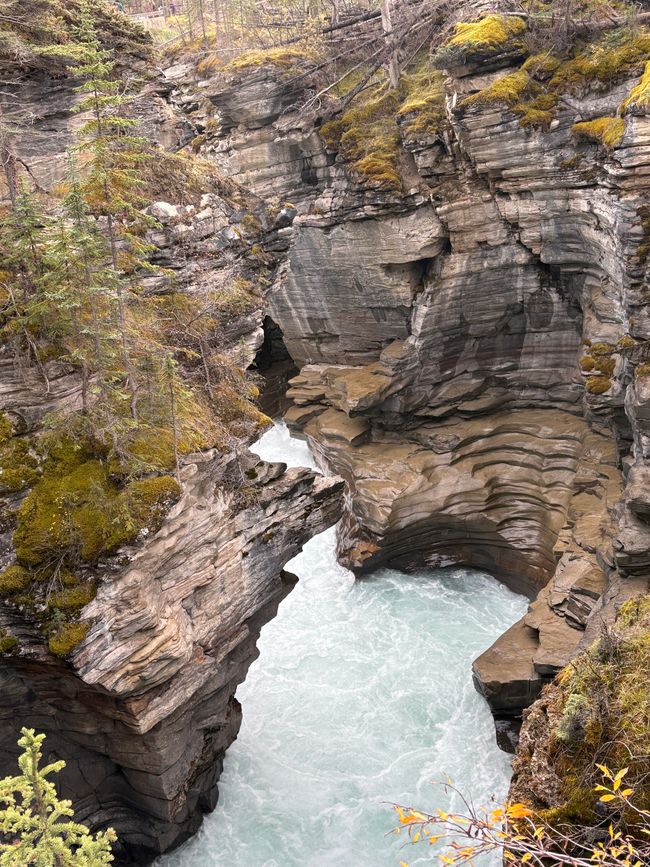 Tag 12 - 🏔️ Wasserfälle, Wetterkapriolen & Wellness – ein (fast) perfekter Tag in Jasper