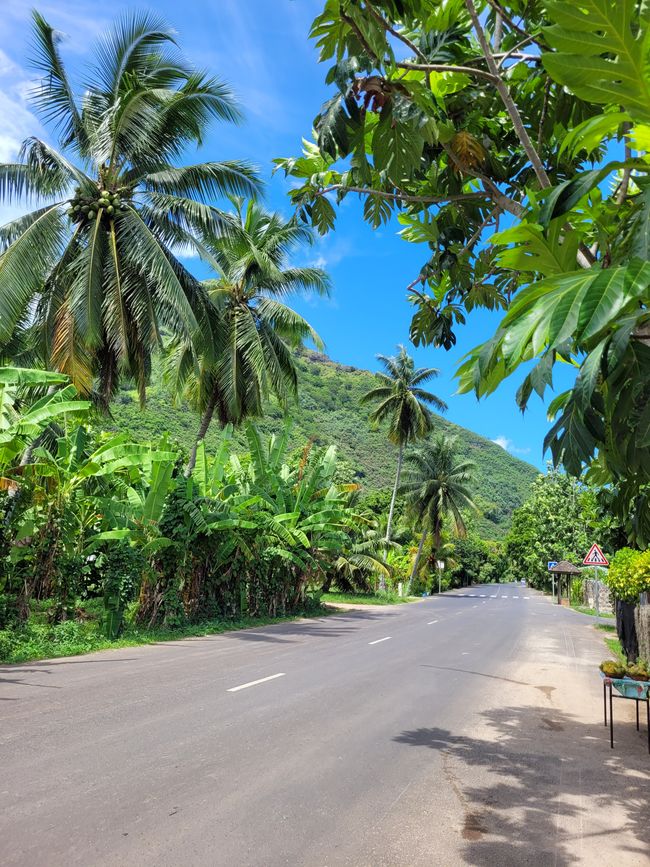 Día 67 de 175: Crucero alrededor del mundo - Moorea / Polinesia Francesa