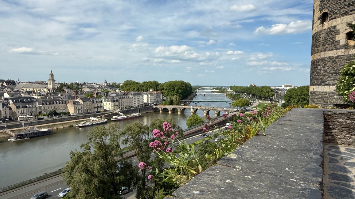 Angers Moderna
