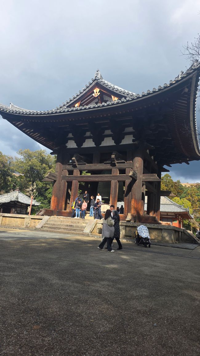 Osaka 'kuidaore' ➡️ mangiare fino a cadere