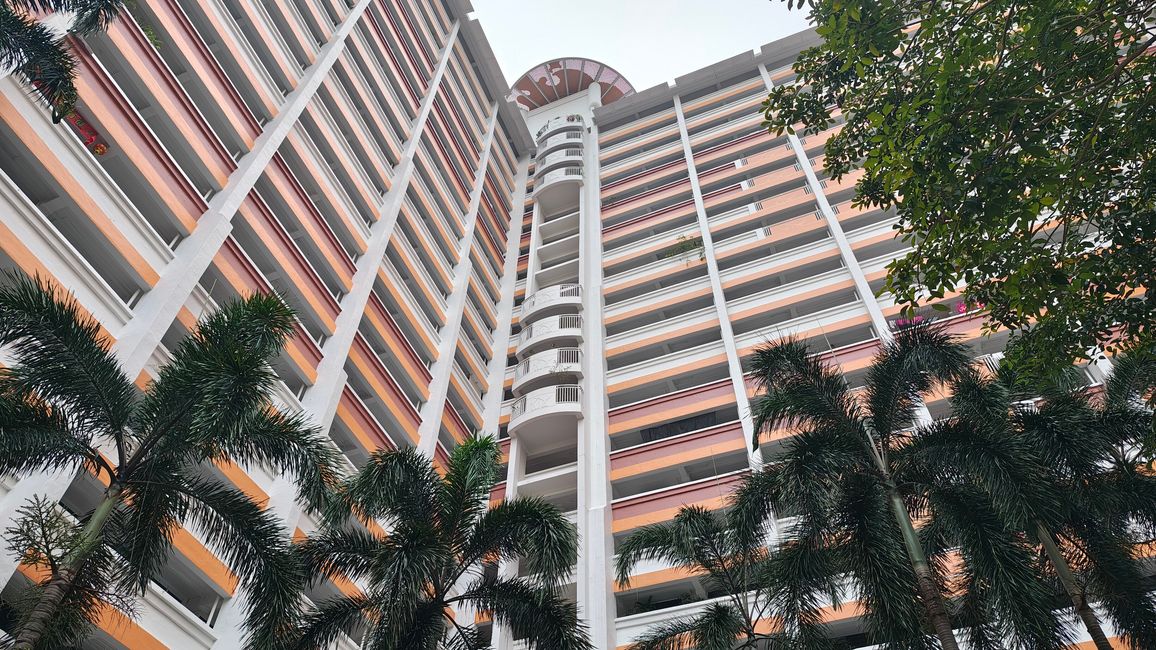 Habiter de manière naturelle et harmonieuse à Singapour