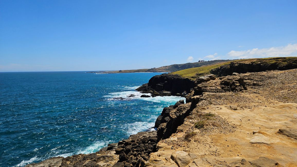 Clifden - Monkey Island - Riverton - Invercargill - Nugget Point