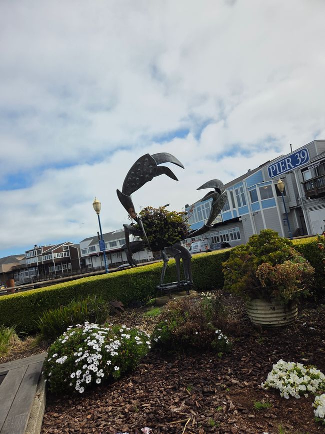 Fisherman’s Wharf 