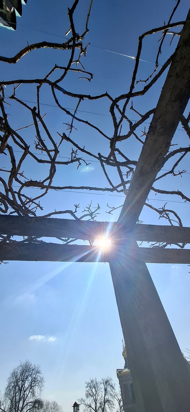 Wandern in Darmstadt 