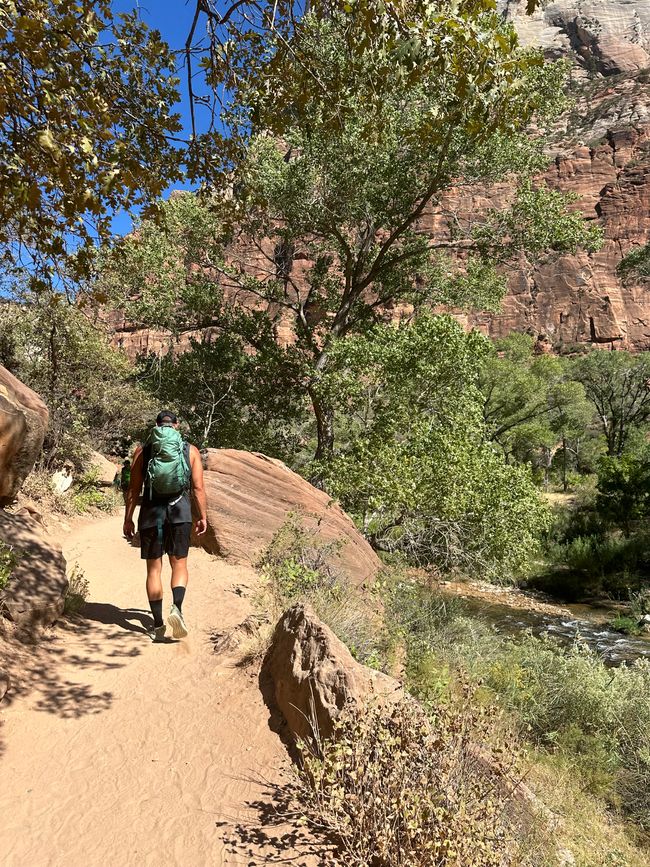 Tierra de Cañones: Zion y el Cañón de Bryce❤️