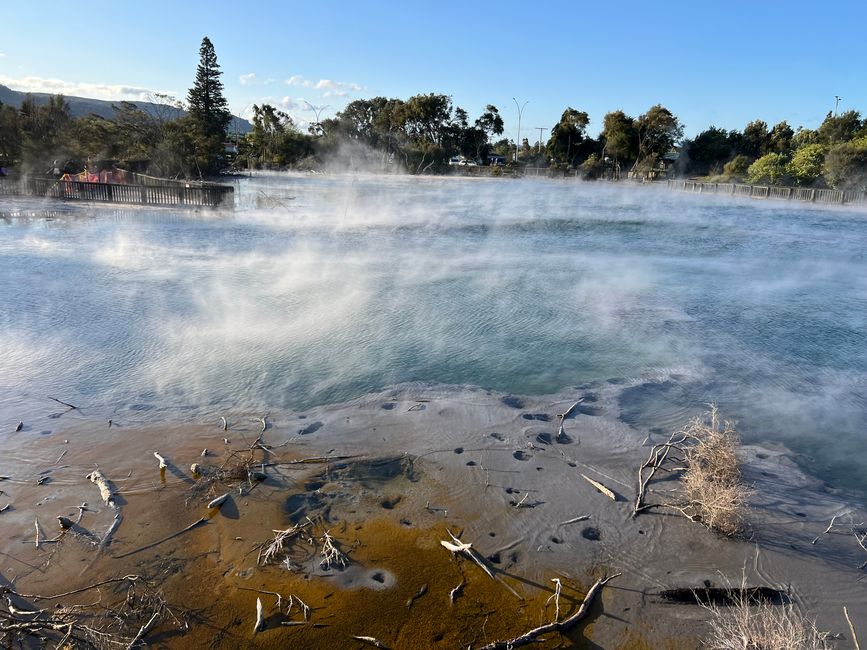 Kuirau Park Hot Springs 