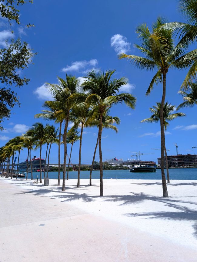 Welcome to Miami - Roadtrip Florida