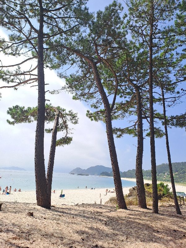 7. Etapa: Vigo - Islas Cíes - Redondela