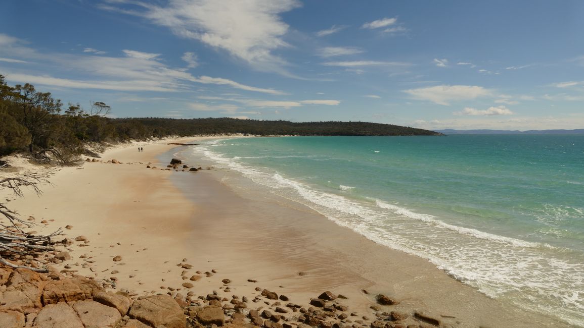 - Singapur & Tasmania 2019 -