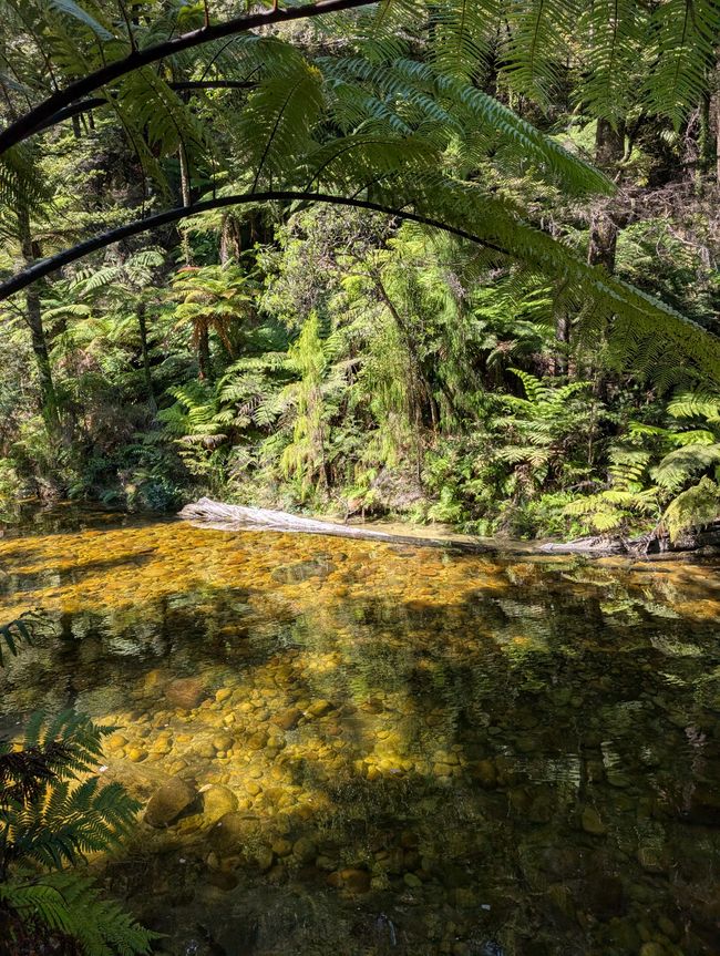 Auf ein paar Worte in Abel 
Tasman